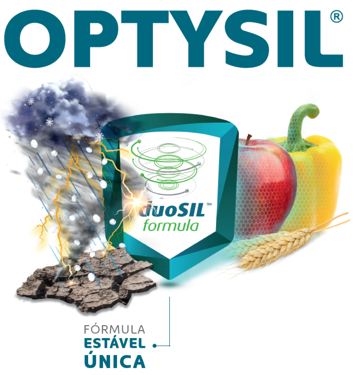 optysil intermag
