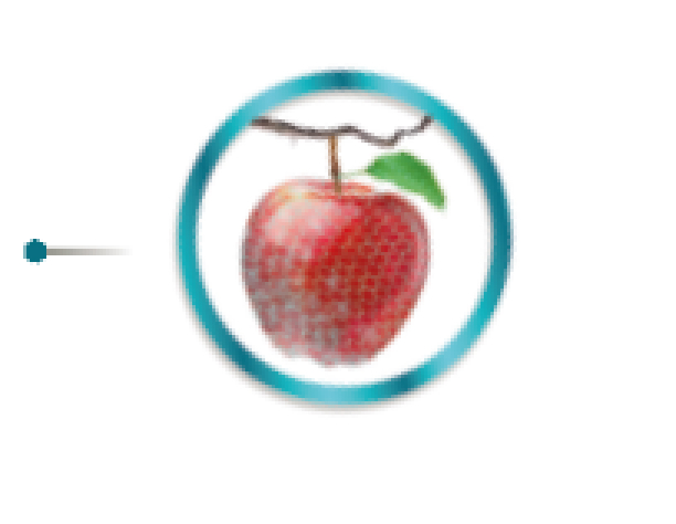 melhor qualidade de produção