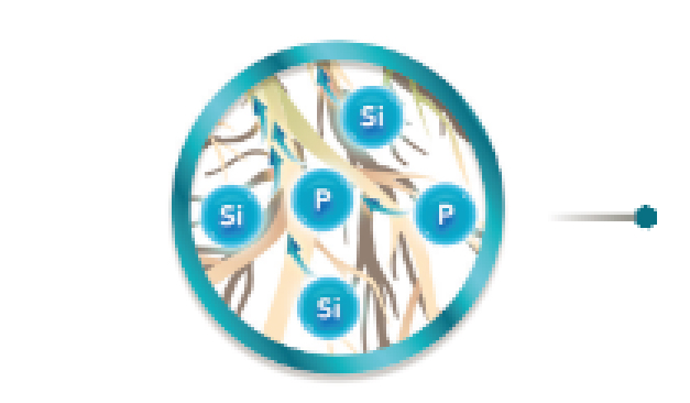 melhor desenvolvimento do sistema radicular